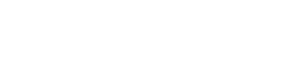 ALMIKA Agencia Marketing Digital México