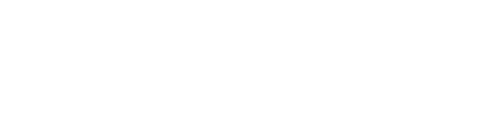 ALMIKA Agencia Marketing Digital México